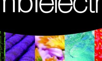 Logotipo-Ambielectric-sin-web-trazado-opt-2-1-330×330 Logotipo-Ambielectric-sin-web-trazado-opt-2-1-330x330